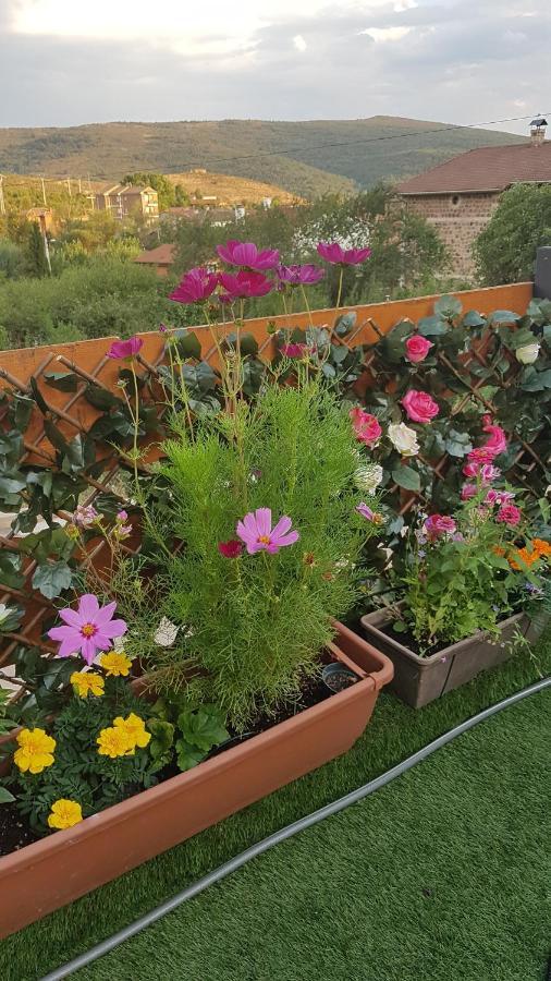 Cabana Ikizen Barbadillo del Pez المظهر الخارجي الصورة